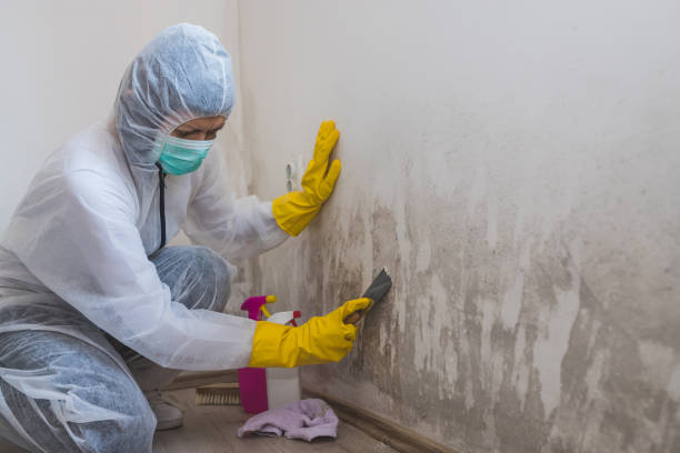 Best Biohazard Mold Removal  in Citrus Hills, FL